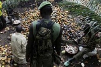 Côte d'Ivoire : Le village de Petit Guiglo (Bloléquin) attaqué, une dizaine de morts
